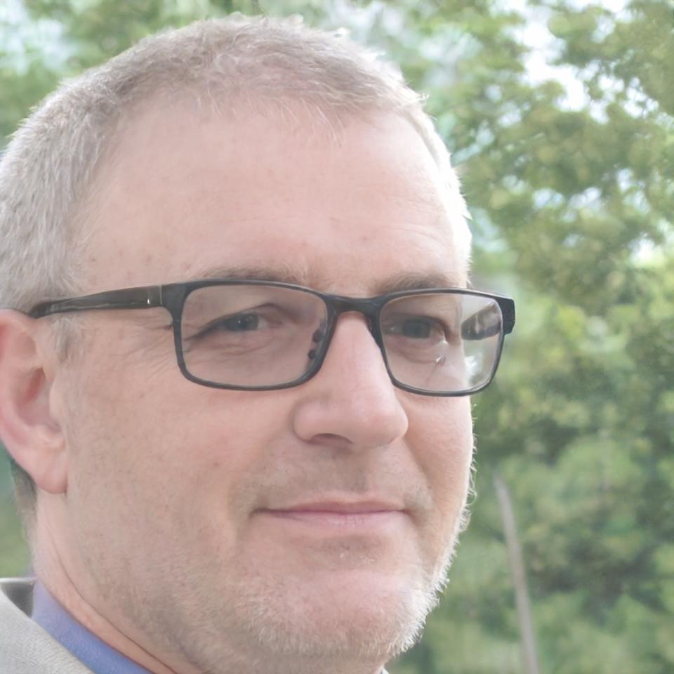 Torben Geißler, Risikomanagement-Experte